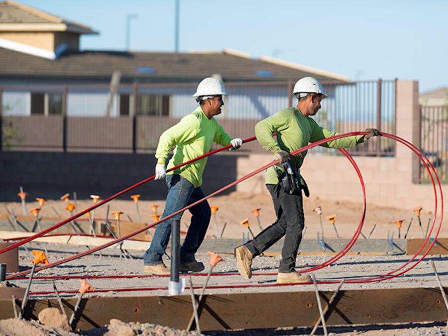 Two employees working
